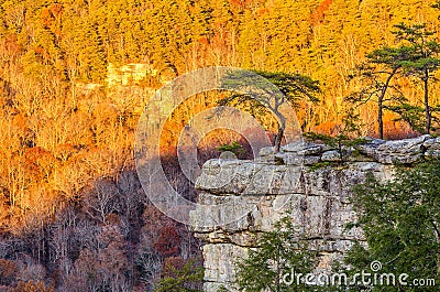 Buzzards Roost, Fall Creek Falls State Park, Tennessee Stock Photo