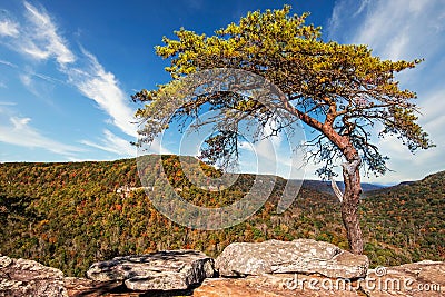 Buzzards Roost Over Look At Fall Creek Falls State Park Stock Photo