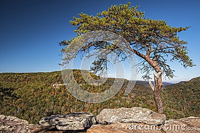 Buzzards Roost Over Look At Fall Creek Falls State Park Stock Photo