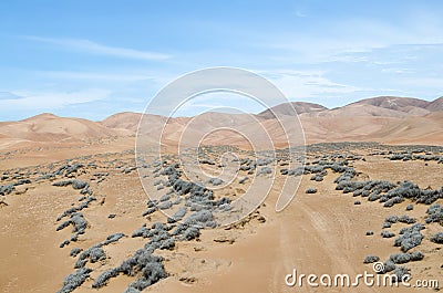 Byroad through the desert Stock Photo