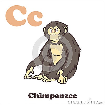 C for Chimpanzee Vector Illustration