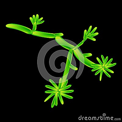 C. krusei candida. Pathogenic yeast-like fungi of the Candida type morphological structure. Vector illustration on Vector Illustration