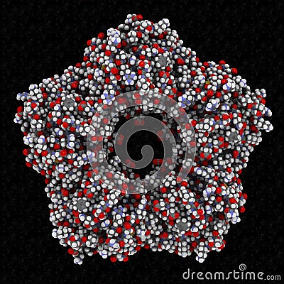 C-reactive protein (CRP, human) inflammation biomarker, chemical structure. 3D rendering. Infections and inflammation cause Stock Photo