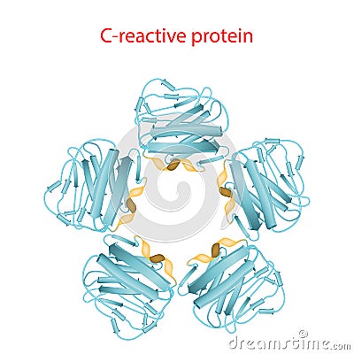 C-reactive protein Molecular structure Vector Illustration