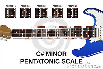 C sharp minor pentatonic scale Vector Illustration