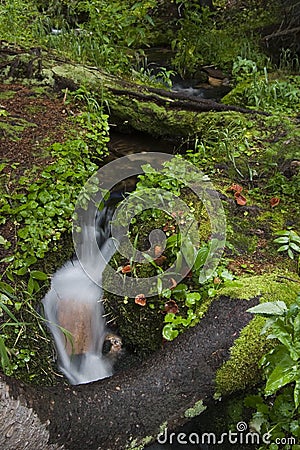 C32 Brook in RMNP Stock Photo