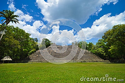 Caana pyramid at Caracol archeological site of Mayan civilization in Western Belize Stock Photo