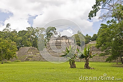 Caana pyramid at Caracol in Belize Stock Photo