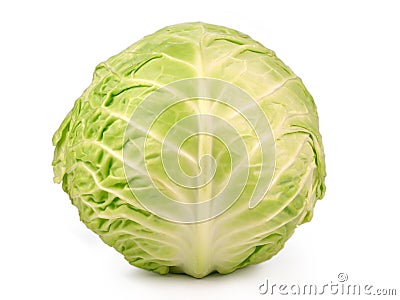 Cabbage Stock Photo