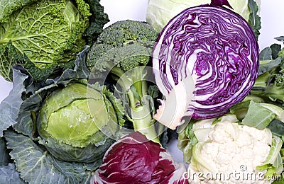 Cabbage assortment Stock Photo