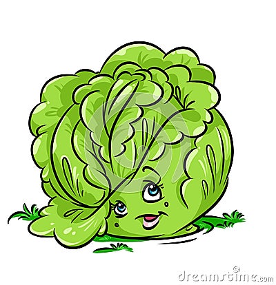 Cabbage beauty character cartoon illustration Cartoon Illustration