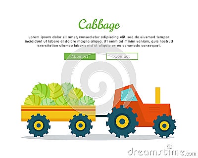 Cabbage Farm Web Vector Banner in Flat Design. Vector Illustration