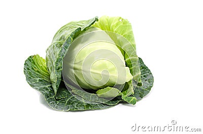 Cabbage with green large leaves grows isolate Stock Photo