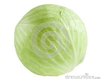 Cabbage isolated Stock Photo