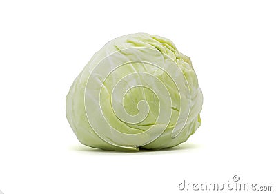 Cabbage Stock Photo