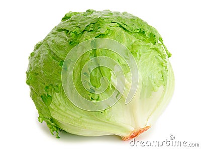 Cabbage lettuce Stock Photo
