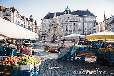 Cabbage Market Zelny Trh in Brno with Farmers Market Selling Produce Editorial Stock Photo