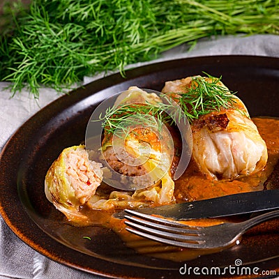 Cabbage rolls out young cabbage Stock Photo