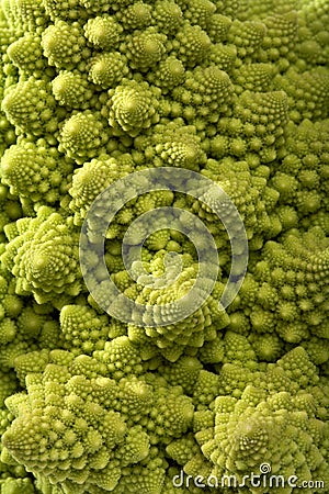 Cabbage romanesco broccoli background Stock Photo