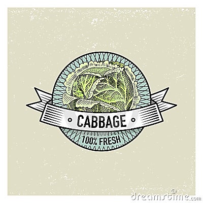 Cabbage Vintage set of labels, emblems or logo for vegeterian food, vegetables hand drawn or engraved. Retro farm Vector Illustration