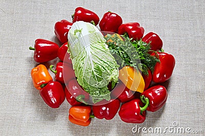 Cabbage, yellow, red, orange paprika, parsley, fennel on a canvas Stock Photo