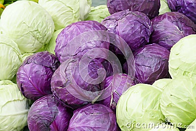 Cabbages Stock Photo