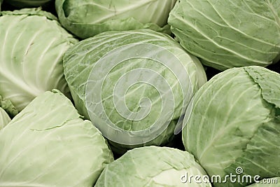 Cabbages Stock Photo