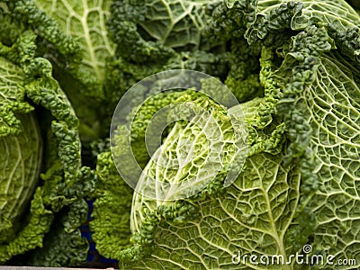 Cabbages Stock Photo