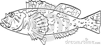 Cabezon rockfish Side View Cartoon Drawing Cartoon Illustration