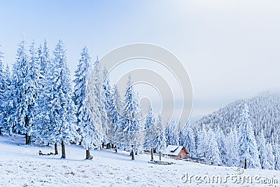 Cabin in the mountains in winter Stock Photo