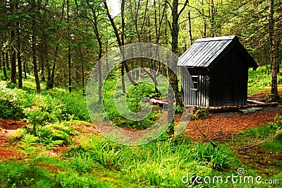 Cabin in woods Stock Photo