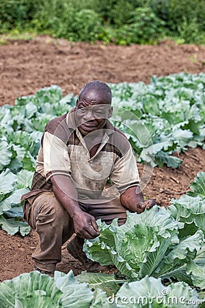 CABINDA/ANGOLA - 09 JUN 2010 - Portrait of African rural farmer. Cabinda. Angola. Editorial Stock Photo