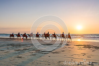 People riding Camels on Cable Beach on a beautiful summers evening Editorial Stock Photo