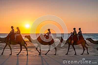 People riding Camels on Cable Beach on a beautiful summers evening Editorial Stock Photo