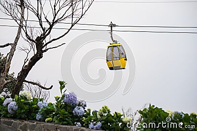 Cable car with flowers and dry tree on foreground Stock Photo