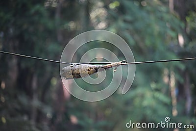 The cable divider of the internet line has been connected. Plastic bottles have been provided so that rain water cannot enter Stock Photo