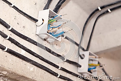 Cable laying ceiling. Electrical wires on wall. Wiring replacement. Connecting light in flat or office. Professional installation Stock Photo