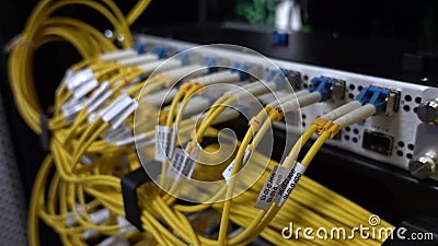 Cabo de fibra óptica ligado ao comutador no centro de dados, tecnologia de rede Internet de proximidade vídeos de arquivo Cabo de fibra óptica ligado ao comutador no centro de dados, tecnologia de rede Internet de proximidade vídeos de arquivo