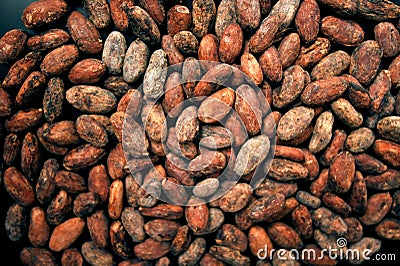 Cacao beans wallpaper, child slavery concept Stock Photo
