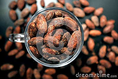 Cacao beans are rich in many minerals, including iron, magnesium, phosphorus, zinc, manganese, and copper Stock Photo