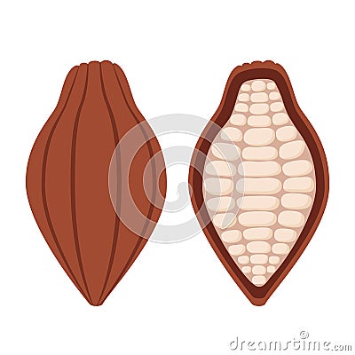 Cacao beans, brown organic plant, fruit of chocolate. Flat style Vector Illustration