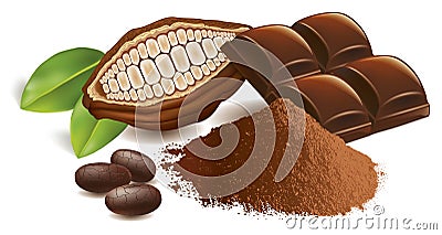 Cacao beans with chocolate table and cacao powder Vector Illustration