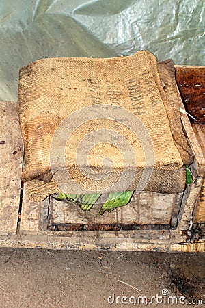 Cacao beans fermenting in a wooden box Stock Photo