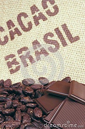 Cacao beans and hessian Stock Photo