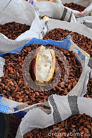 Cacao Beans in Sacks Stock Photo