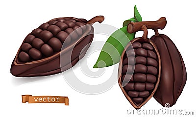 Cacao fruits. Cocoa pods. 3d realistic vector objects Vector Illustration