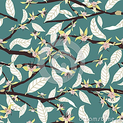 Cacao tree branches in bloom seamless vector pattern background Stock Photo