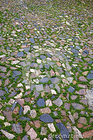 Caceres stones floor detail with grass Spain Stock Photo