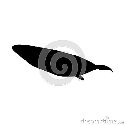 Cachalot Or Sperm Whale Silhouette Concept Vector Illustration