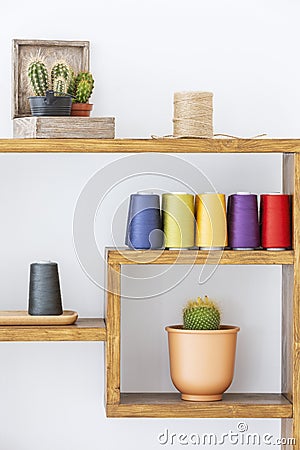 Cacti and colorful yarns on wooden shelves in scandi modern living room interior. Real photo Stock Photo